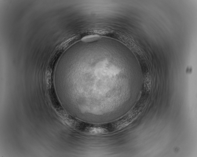 X0000101160360200806271015