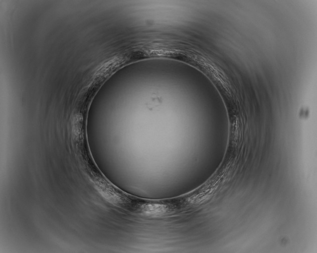 X0000101160361200806271015