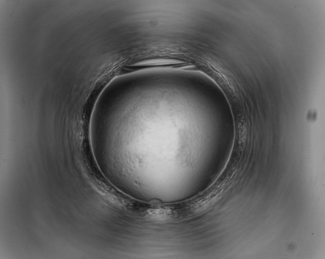 X0000101160362200806271015