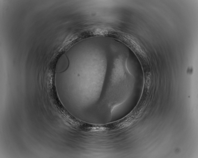 X0000101160363200806271015