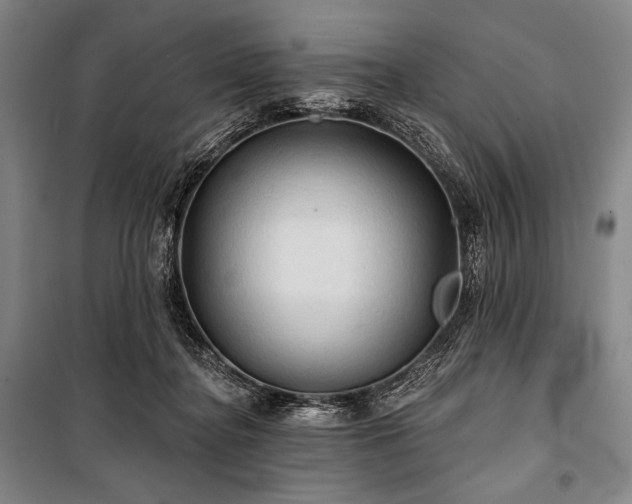 X0000101160364200806271015