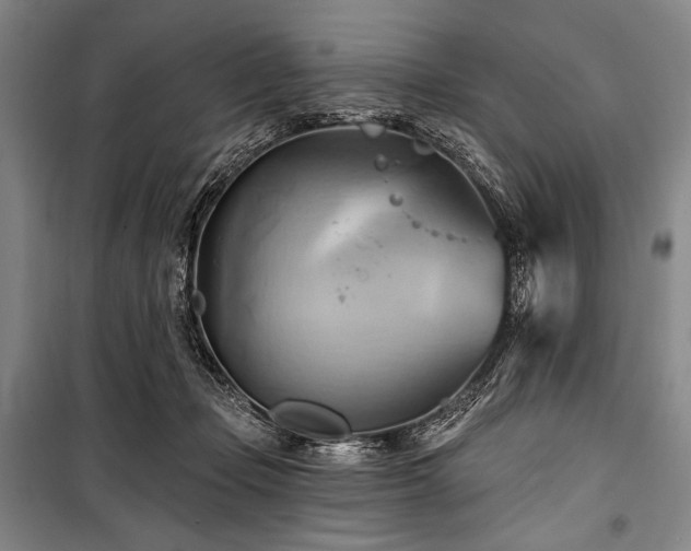 X0000101160365200806271015