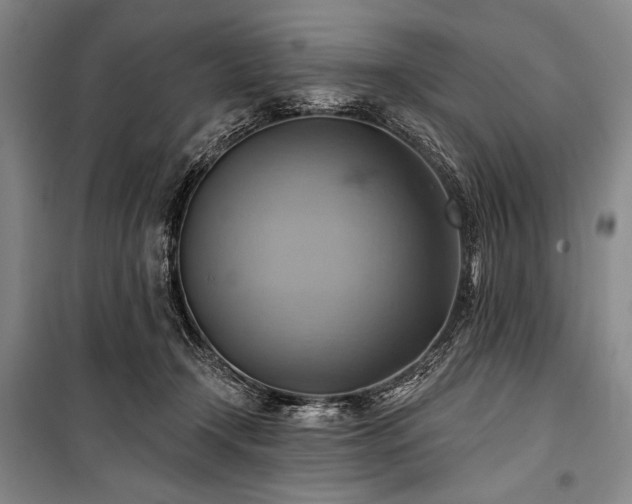 X0000101160366200806271015