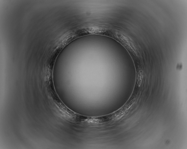 X0000101160367200806271015