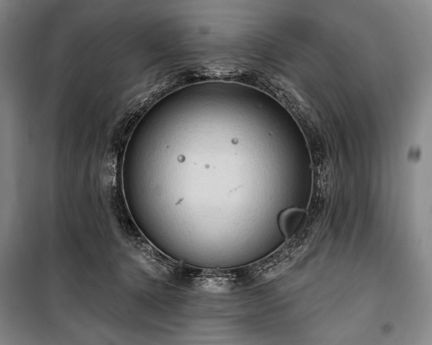 X0000101160368200806271015