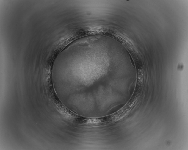 X0000101160369200806271015