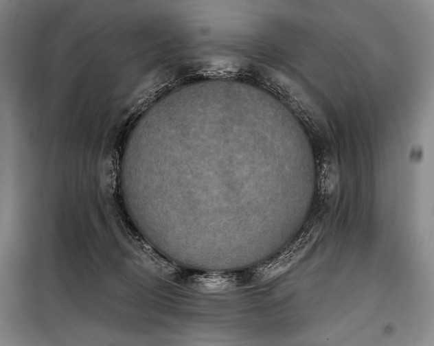 X0000101160370200806271015