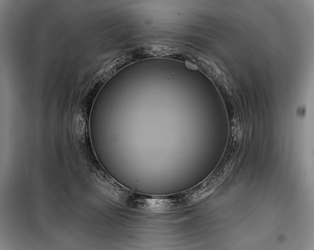 X0000101160371200806271015