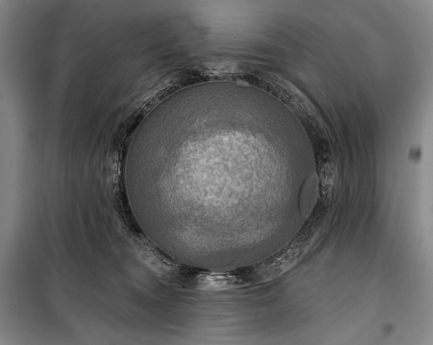 X0000101160372200806271015