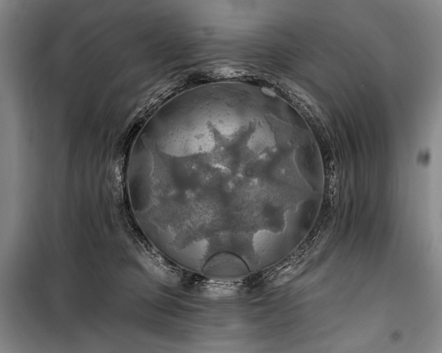X0000101160373200806271015