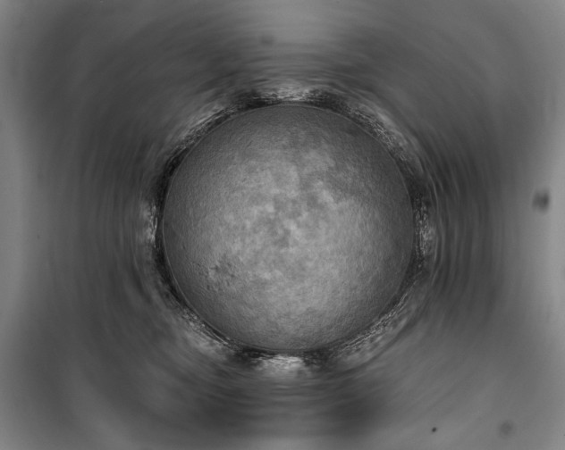 X0000101160374200806271015