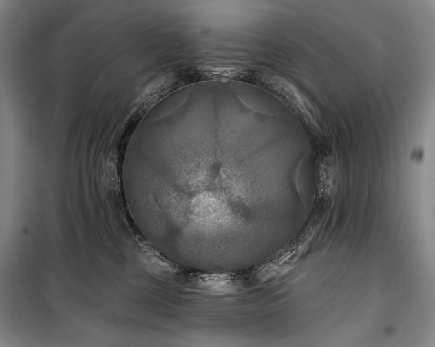 X0000101160377200806271015