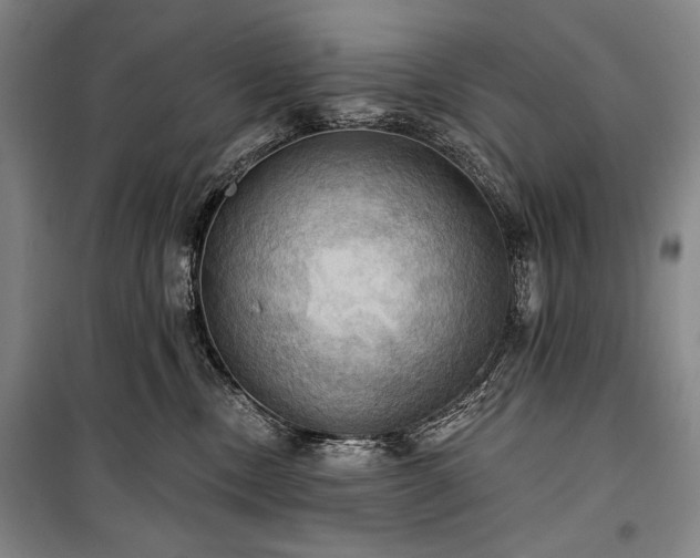 X0000101160378200806271015