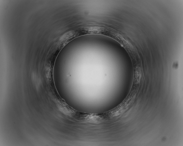 X0000101160379200806271015