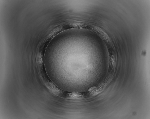 X0000101160380200806271015