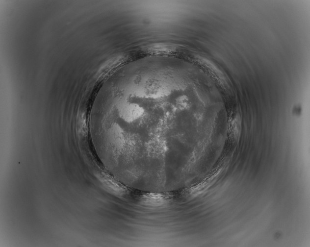 X0000101160381200806271015