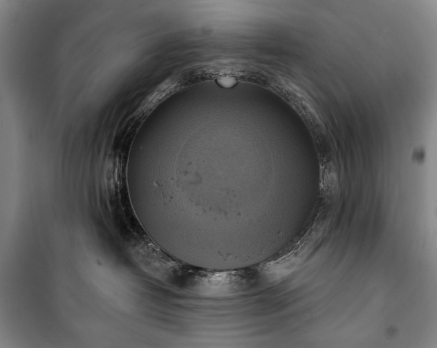 X0000101160382200806271015