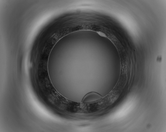 X0000101160383200806271015