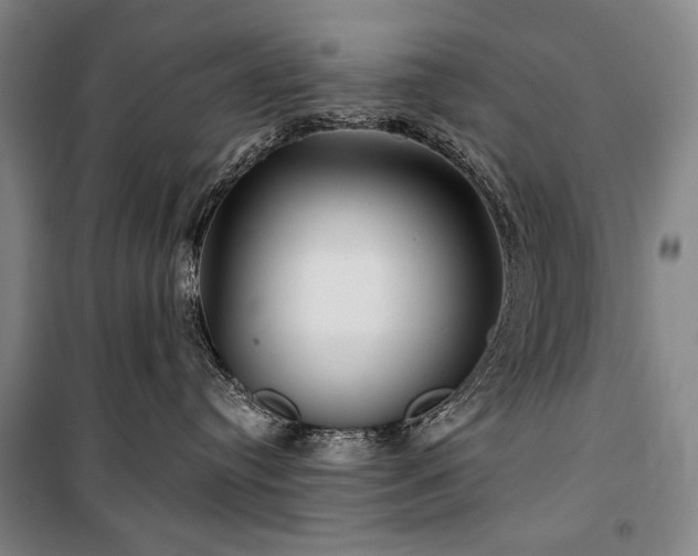X0000101160384200806271015