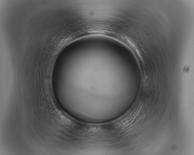 X0000101160385200806271014