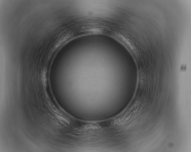 X0000101160386200806271014