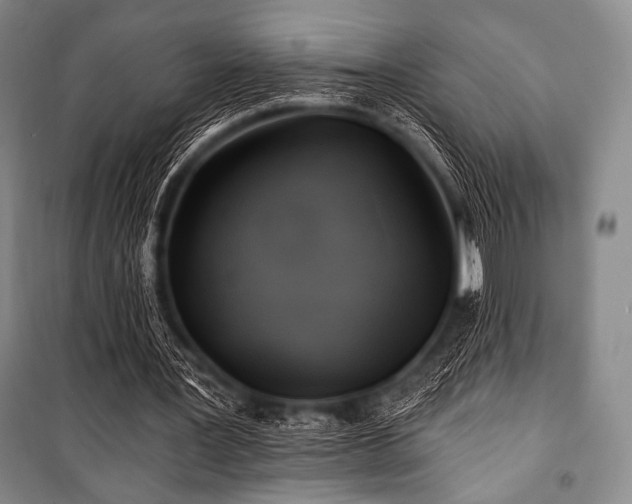 X0000101160387200806271014