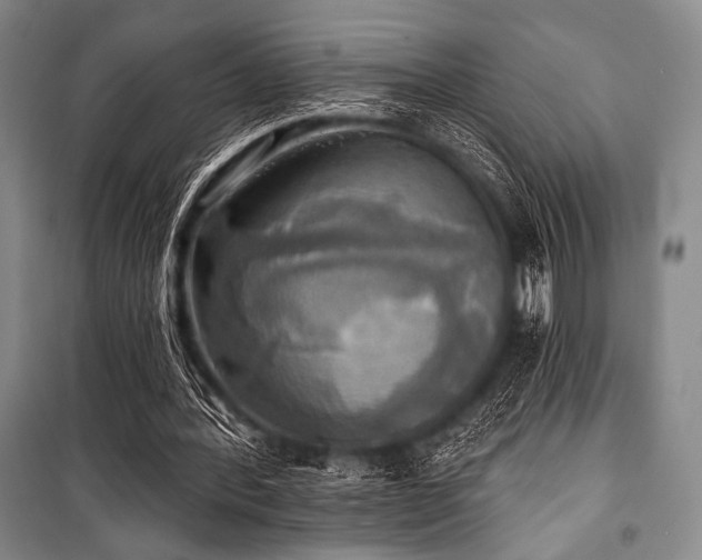 X0000101160388200806271014