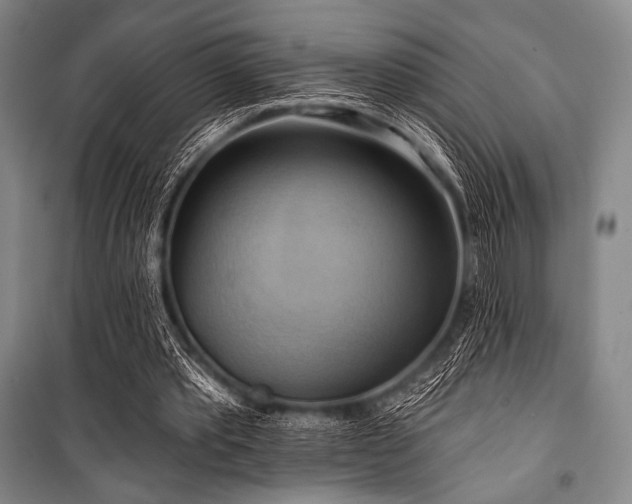 X0000101160389200806271014