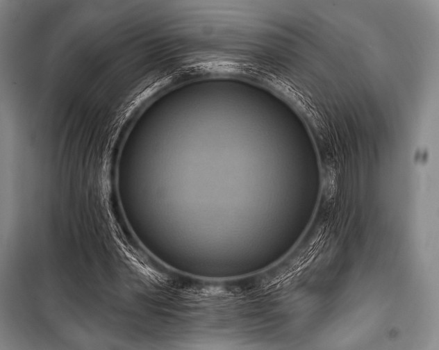 X0000101160390200806271014