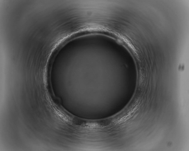 X0000101160391200806271014