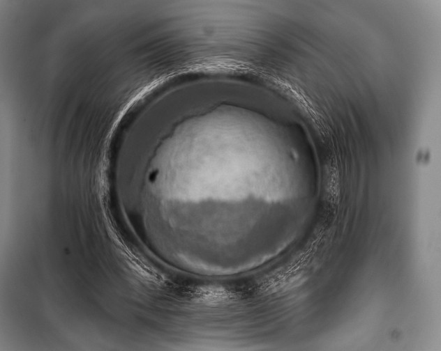 X0000101160392200806271014