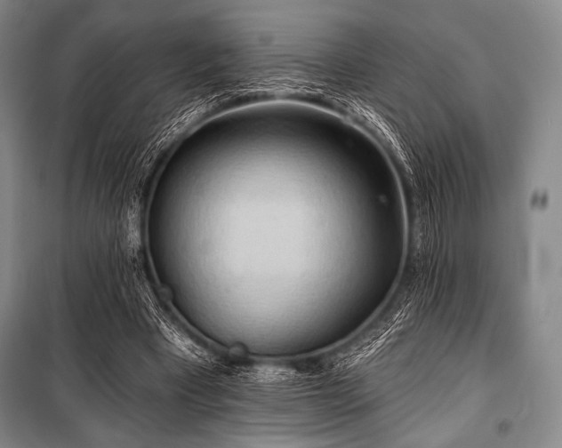 X0000101160393200806271014