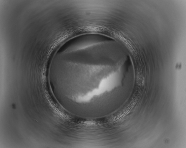 X0000101160394200806271014