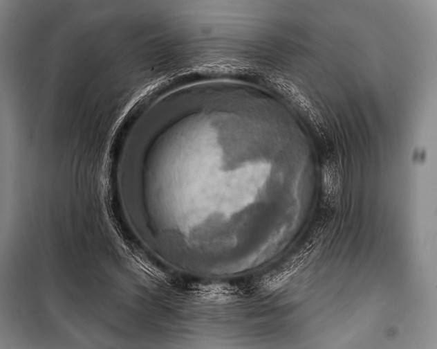 X0000101160396200806271014