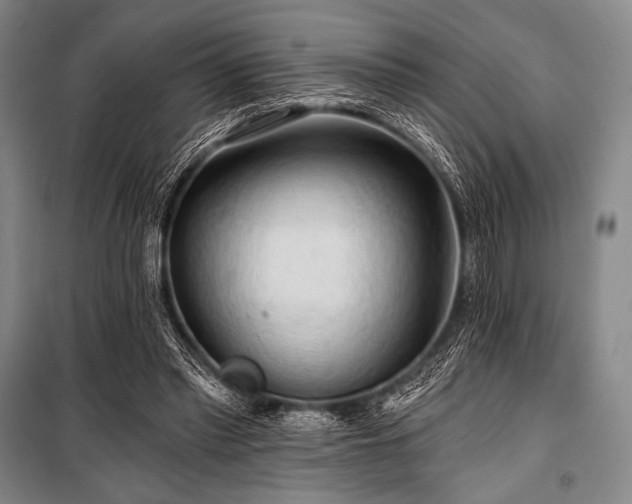 X0000101160397200806271014