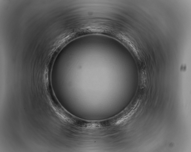 X0000101160398200806271014