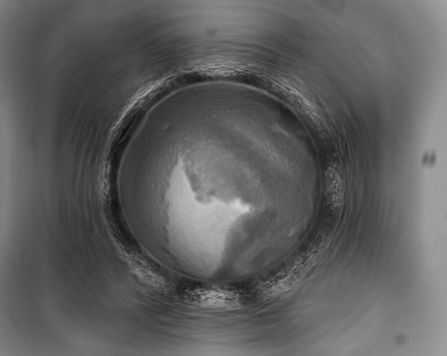 X0000101160400200806271014
