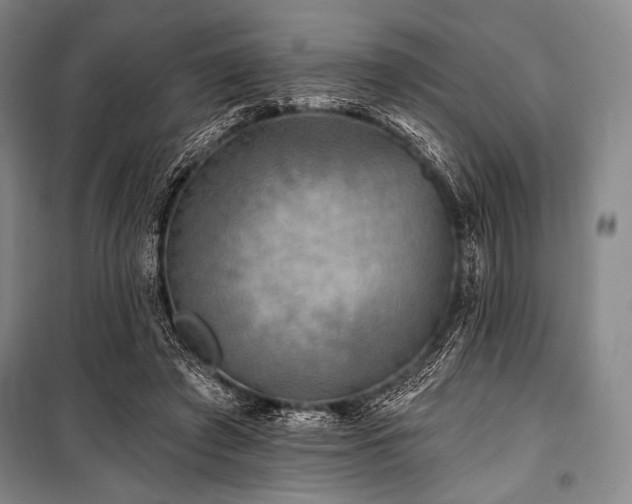 X0000101160401200806271014