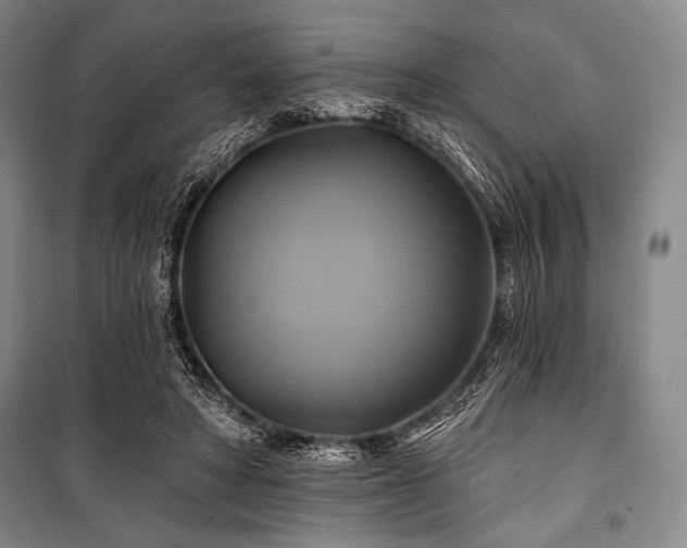 X0000101160402200806271014