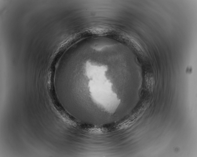 X0000101160404200806271014