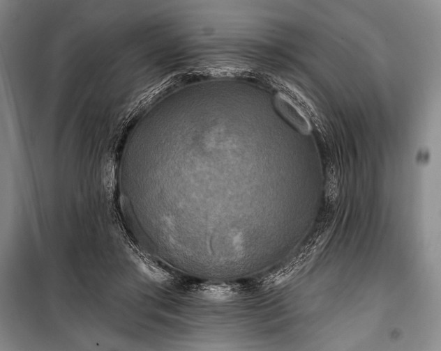 X0000101160405200806271014