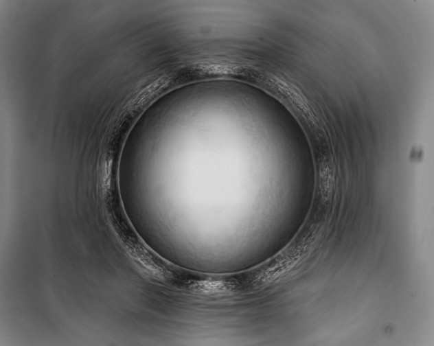 X0000101160406200806271014