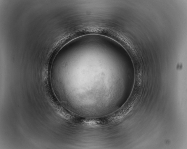 X0000101160407200806271014