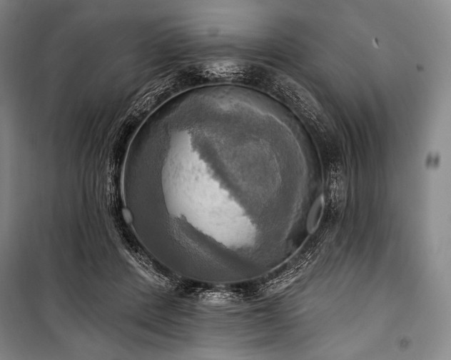 X0000101160408200806271014