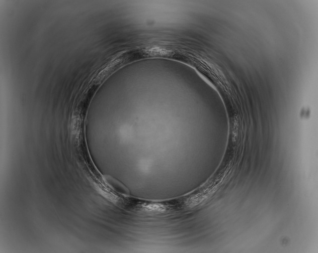X0000101160409200806271014