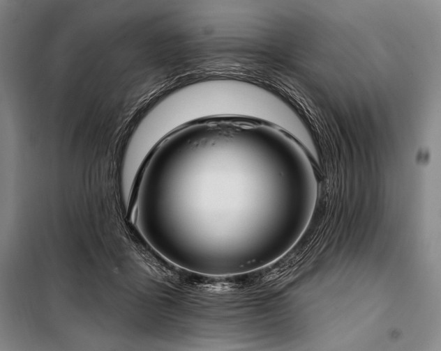 X0000101160411200806271014