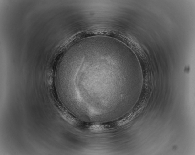 X0000101160413200806271014