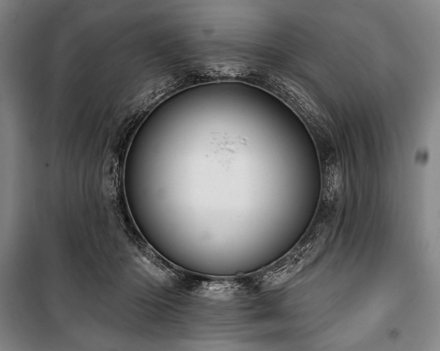 X0000101160414200806271014