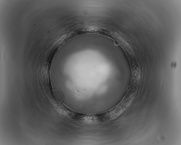 X0000101160415200806271014