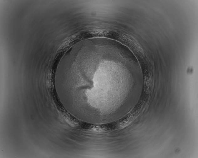 X0000101160416200806271014